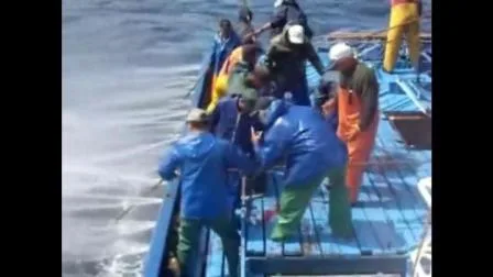 Matériel de pêche pivotant noir mat pour pêche à la carpe, corps Long, changement rapide, avec anneau